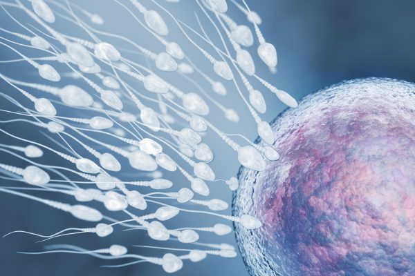 Male infertility