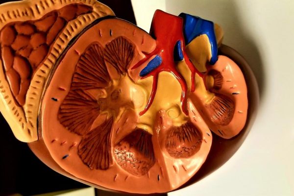 urologia oncologica